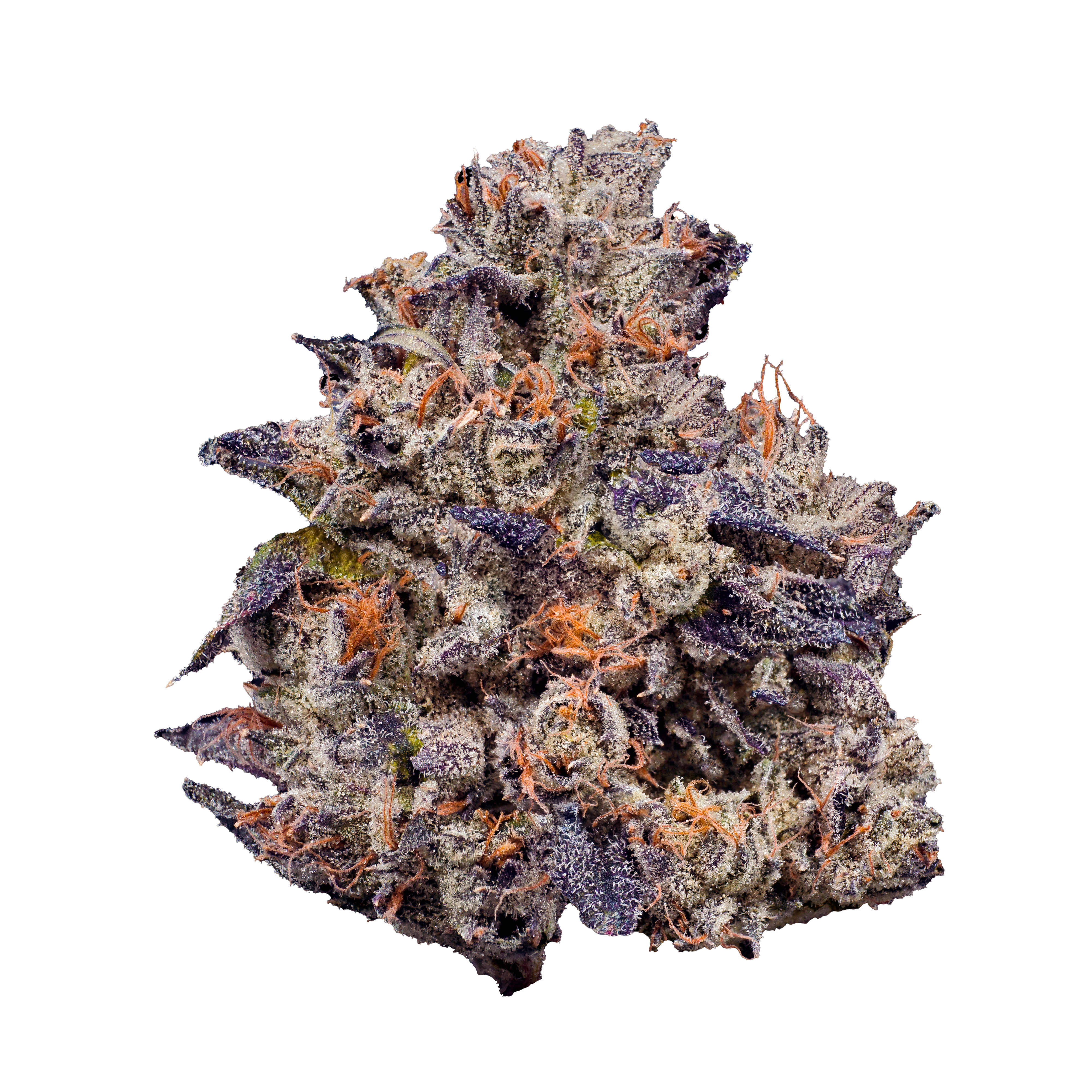 Lemon Cherry Gelato Strain | Fig Farms